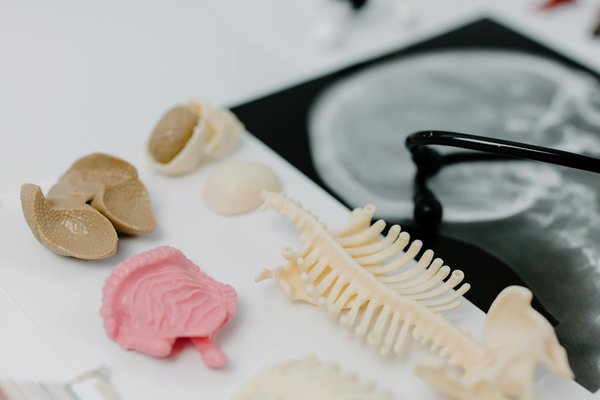 Yuka cosmetics: discovering natural products rated 100/100 for your health